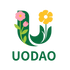 Uodao - Home